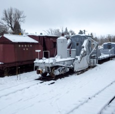 RIMG0654.jpg