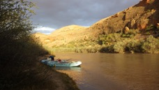 RIMG0973.JPG